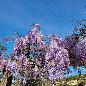 Appartement Dans En Rez De Jardin, Hyères